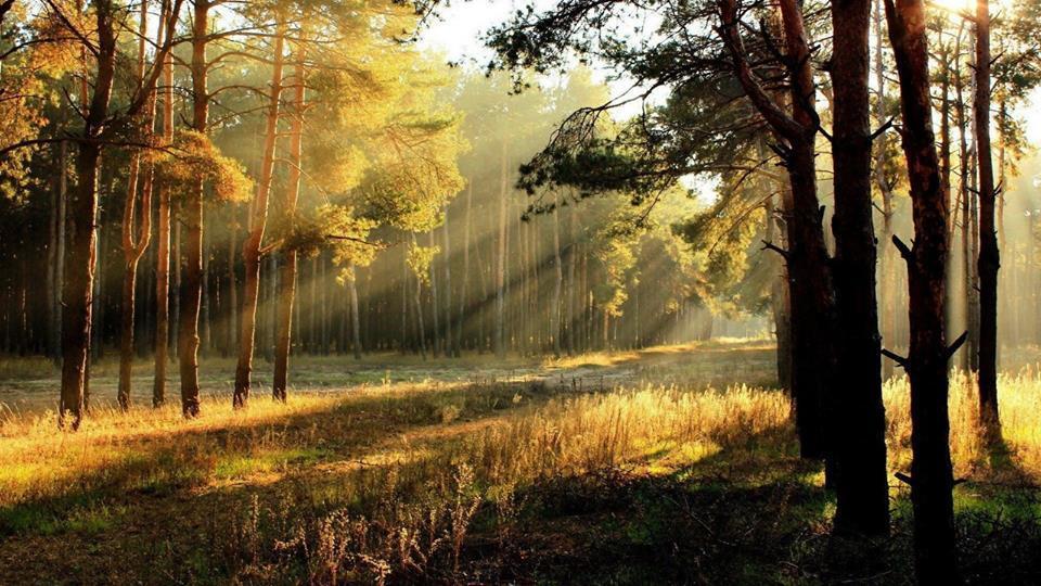 Pension Deimel Халенберг Екстериор снимка